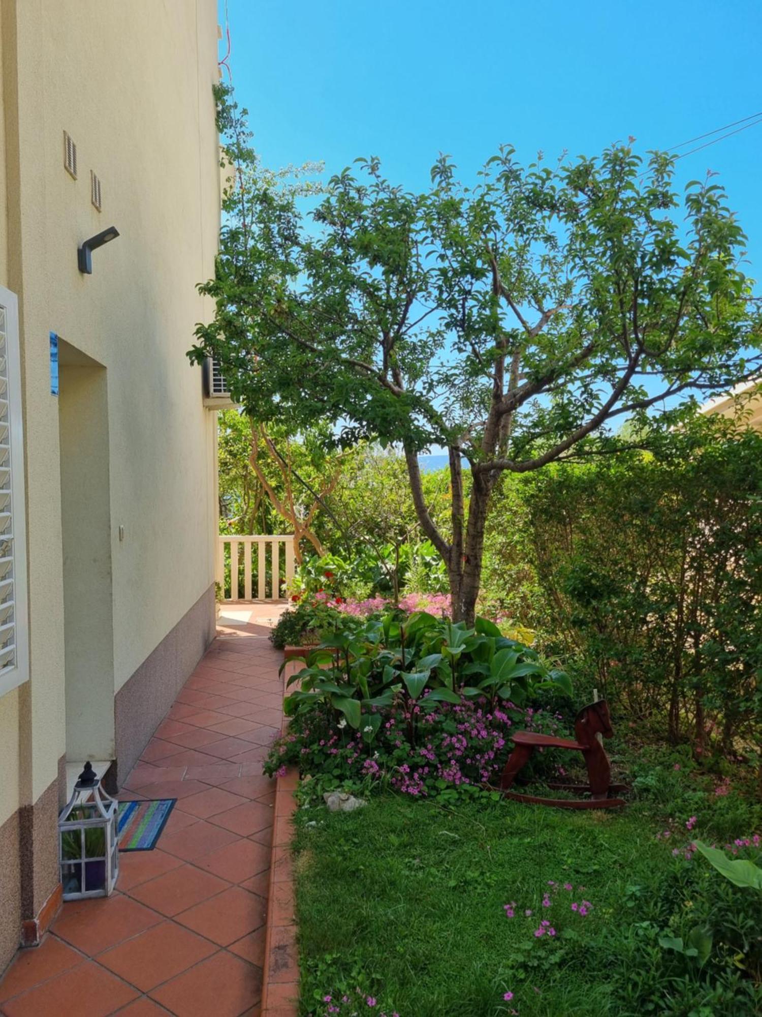 Apartments Kadenca Omiš Zewnętrze zdjęcie